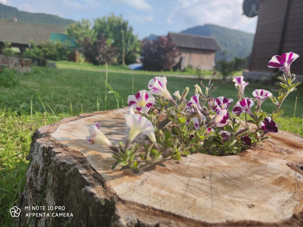 Apartamento Koliba A&A Kolašin Exterior foto
