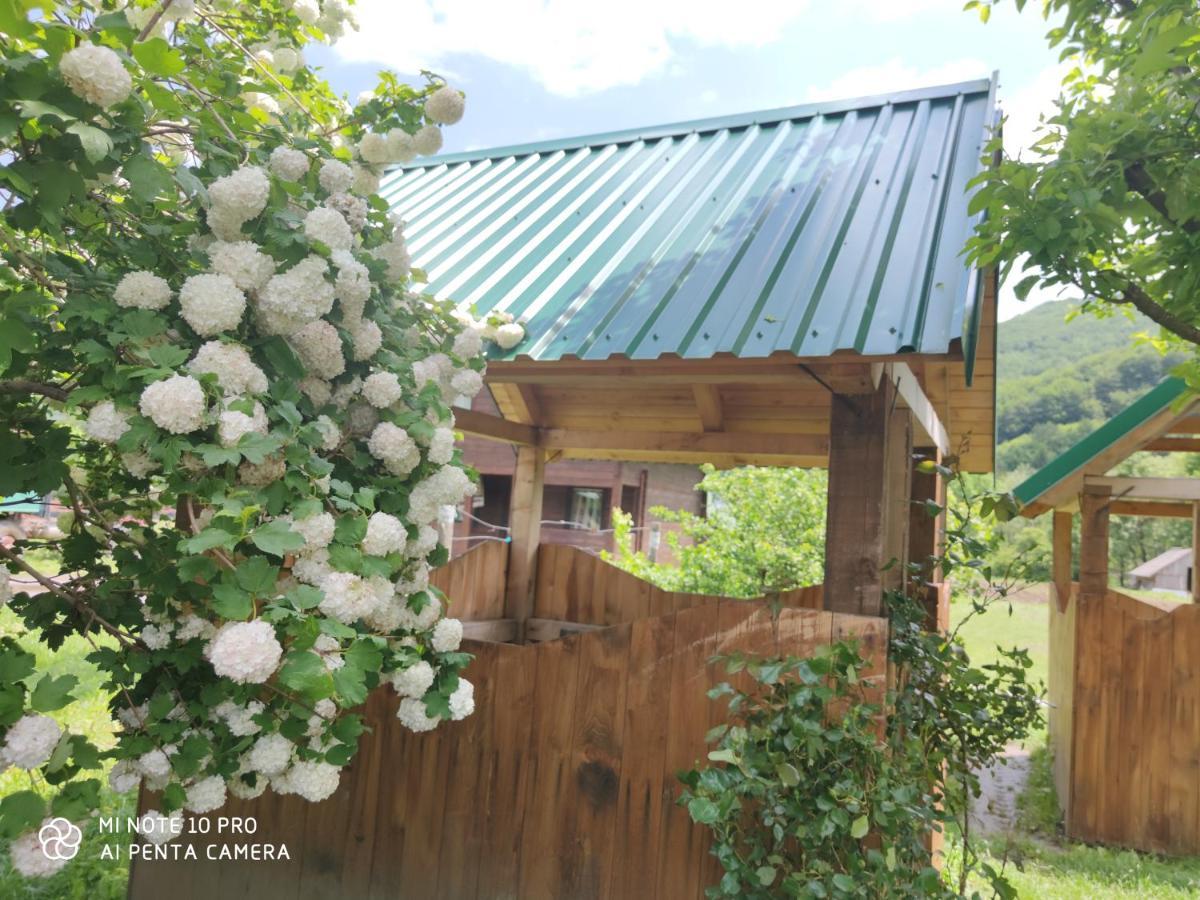 Apartamento Koliba A&A Kolašin Exterior foto